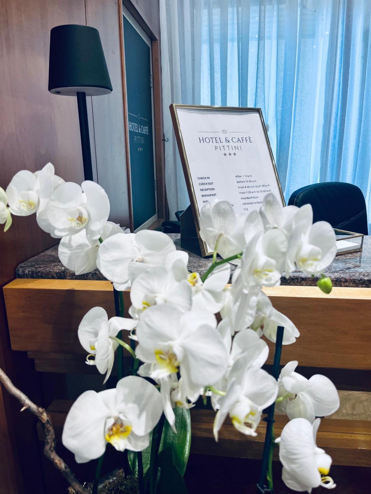 Hotel Pittini 게모나 델 프리울리 외부 사진